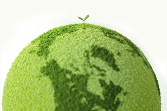 Essay on the Green Revolution | Importance of Green Revolution